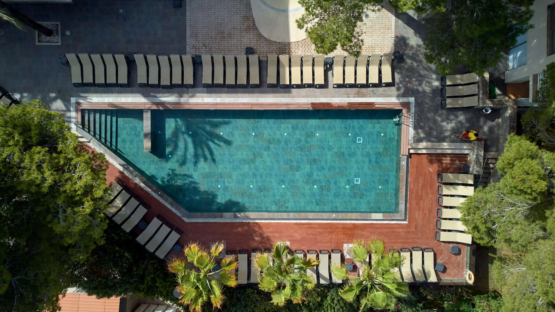 Foto - Occidental Cala Viñas