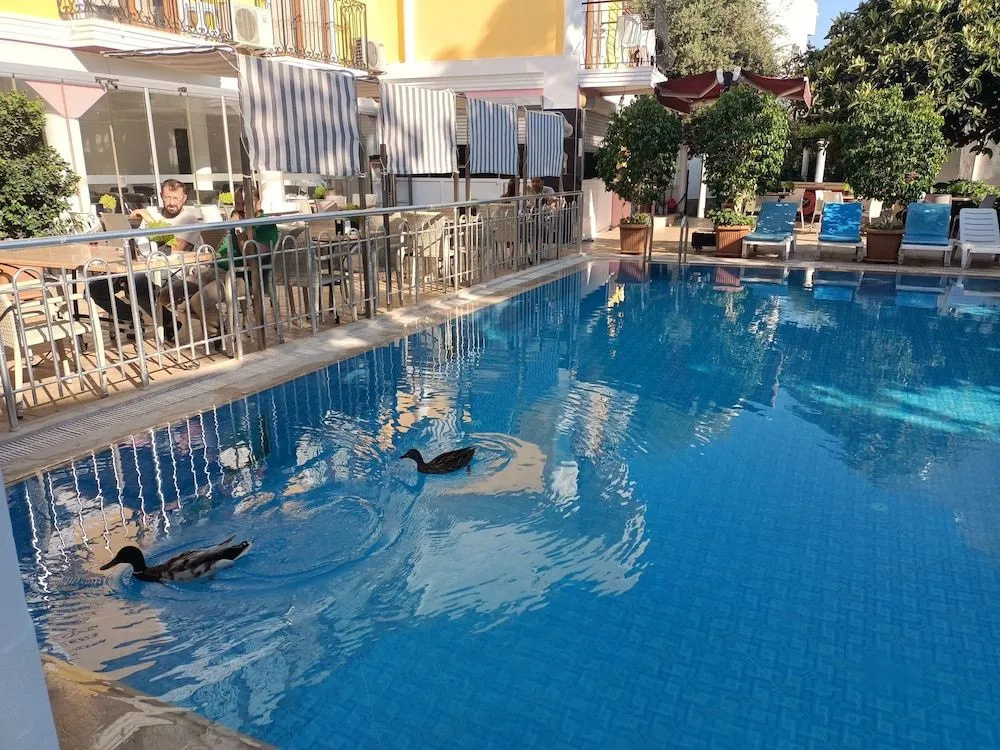 Photo - Hotel Barlas Fethiye