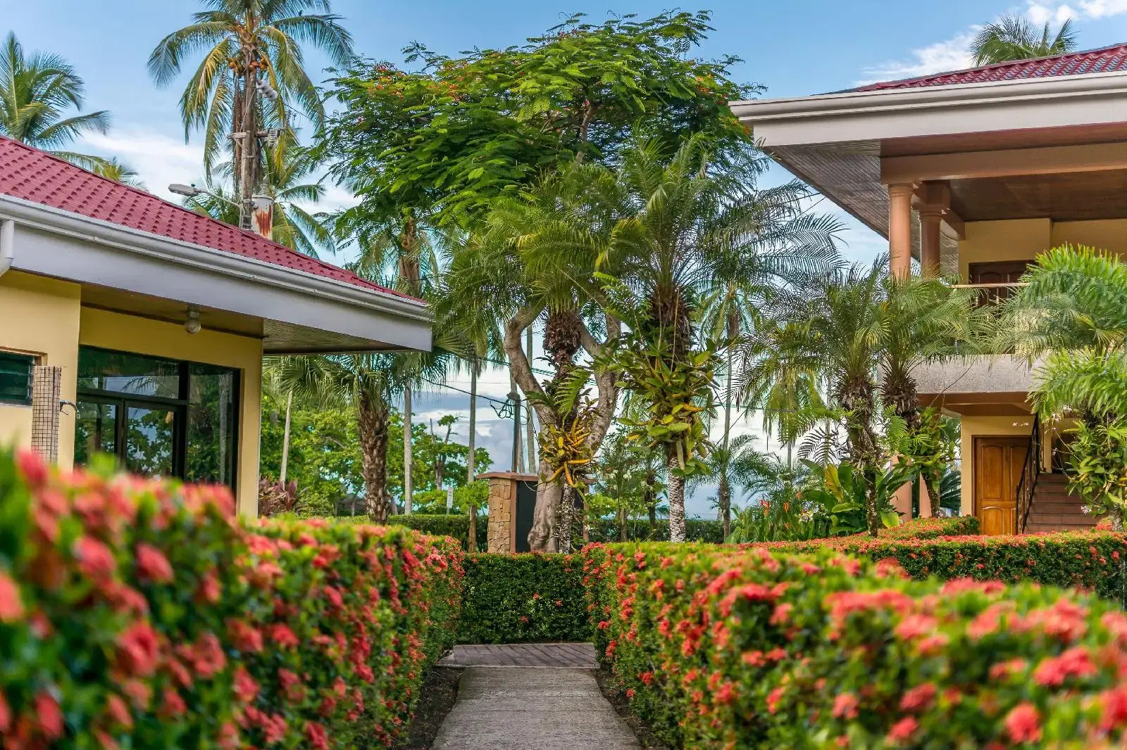 Foto - Hotel Manuel Antonio