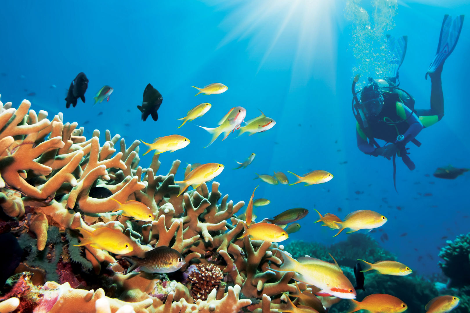 Photo - Jalsa Beach Hotel & Spa