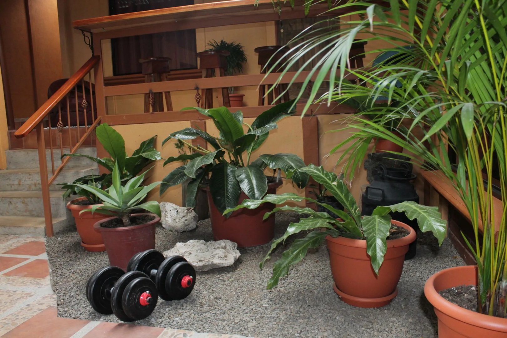 Foto - Greemount Hotel