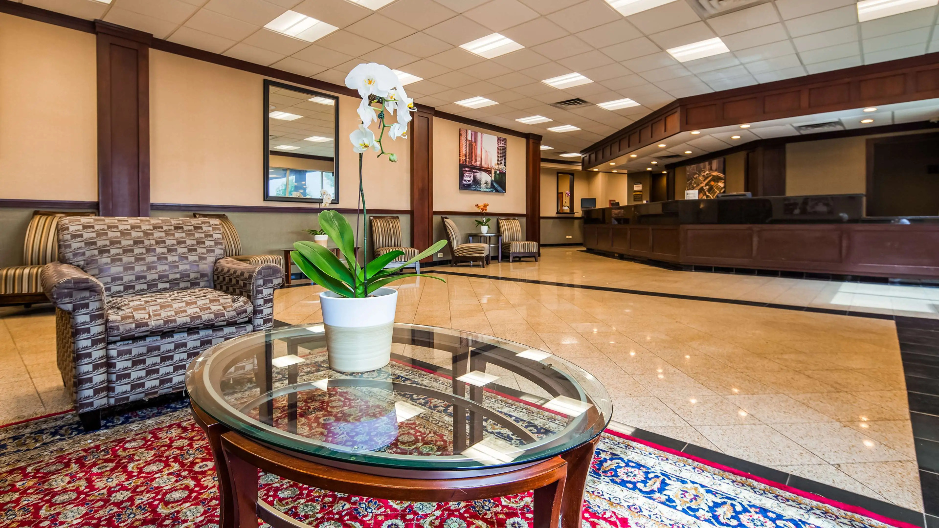 Foto - Best Western Plus Chicago Hillside