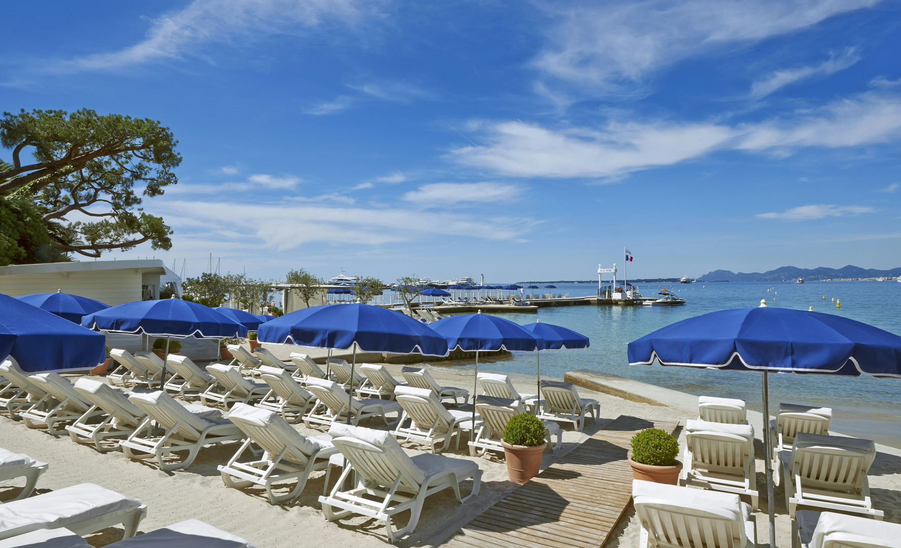 Foto - Hotel Juana