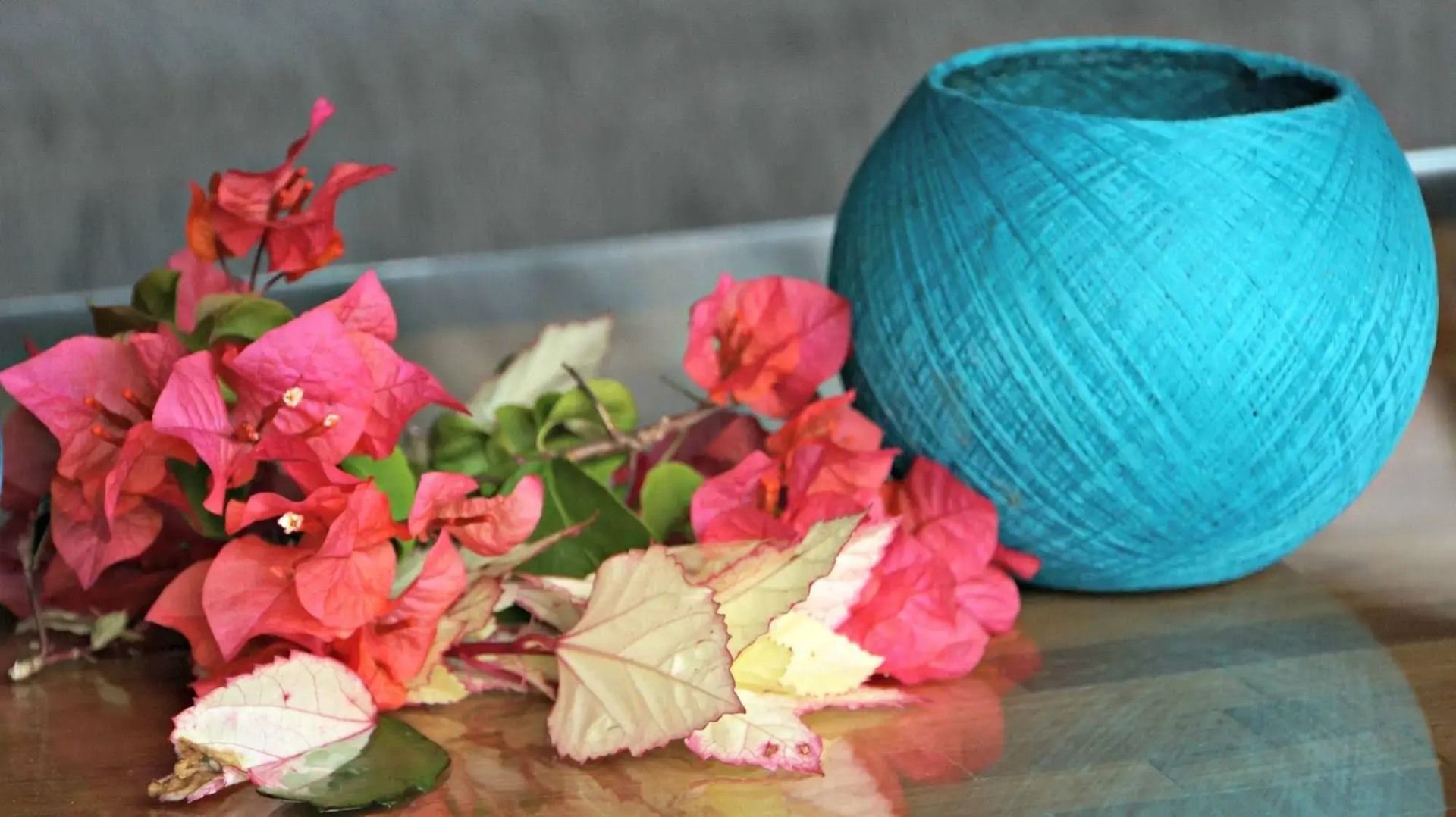 Photo - Samanvaya - Adults Only