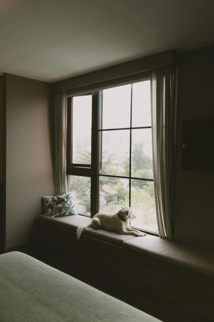 Foto - Hotel Eco Boutique Bidasoa