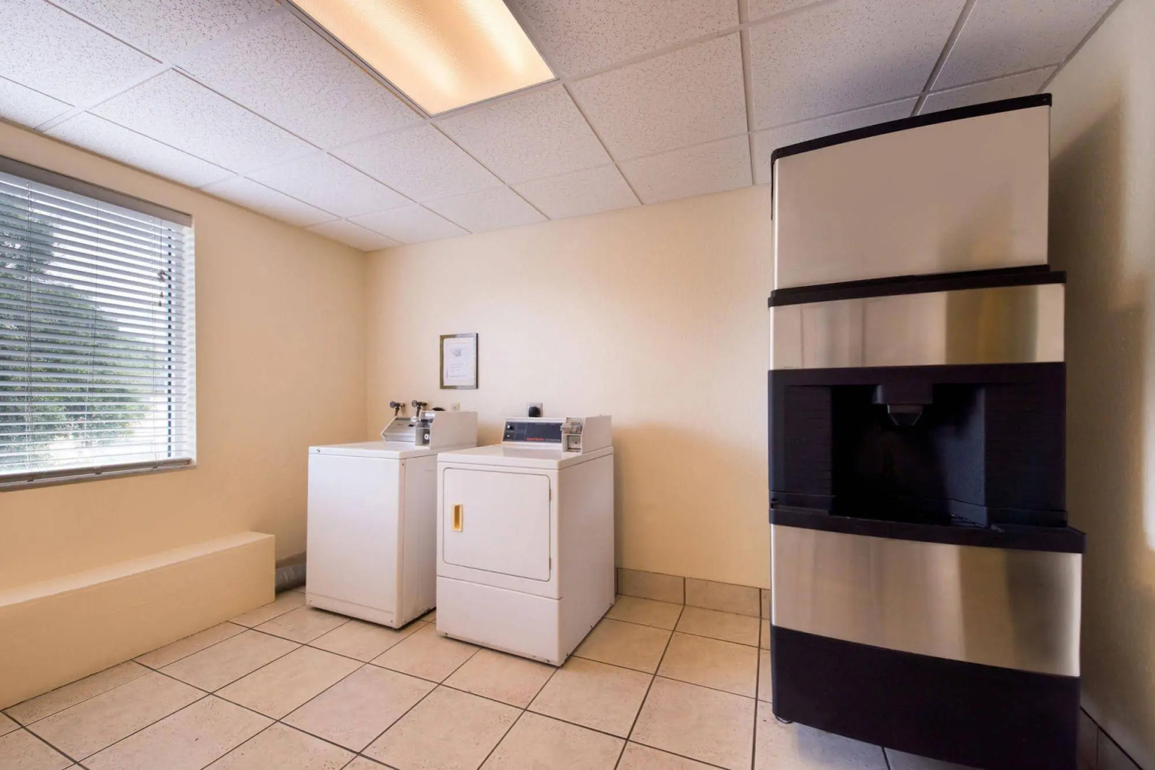 Foto - Best Western Tampa