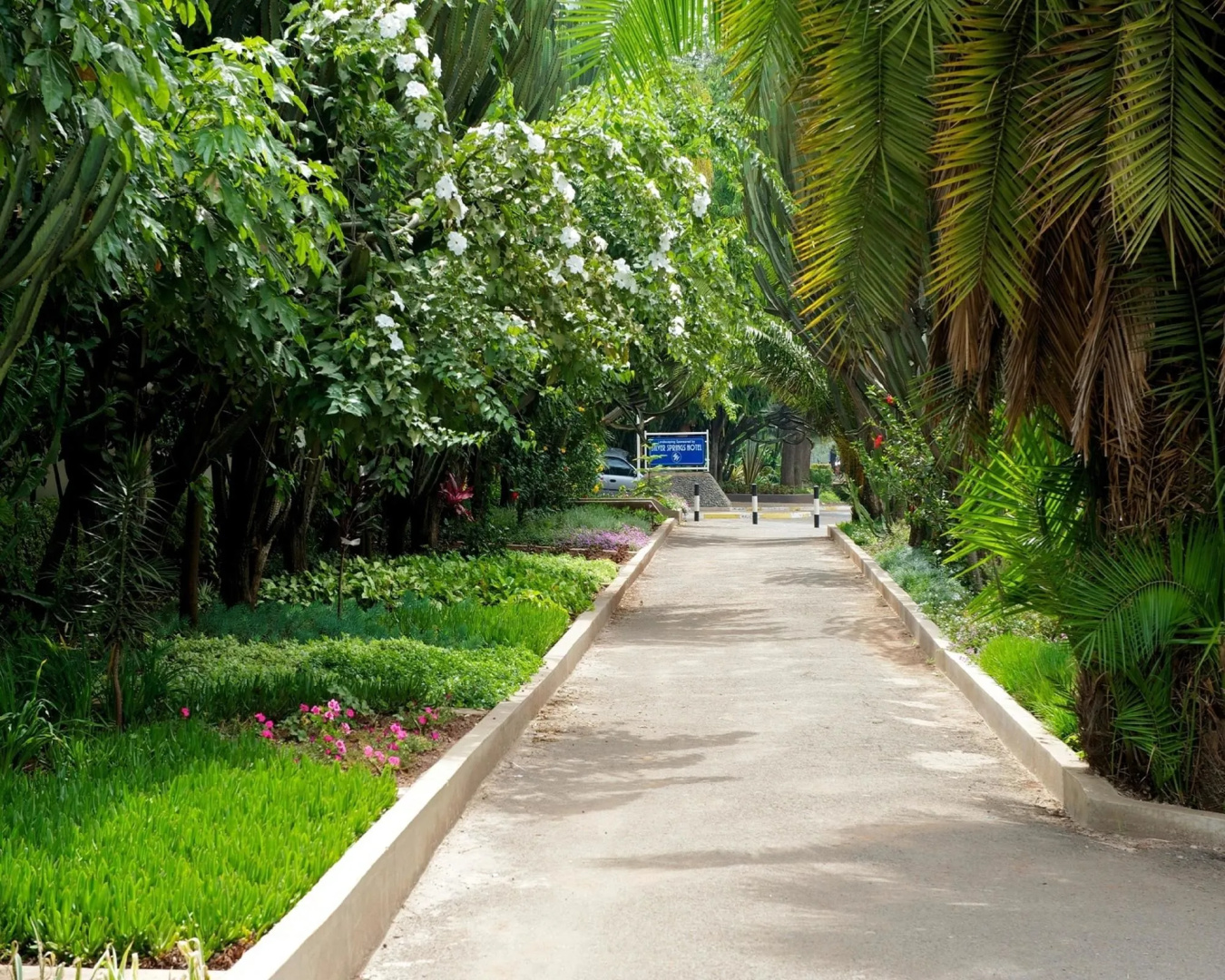Foto - Muthu Silver Springs Hotel