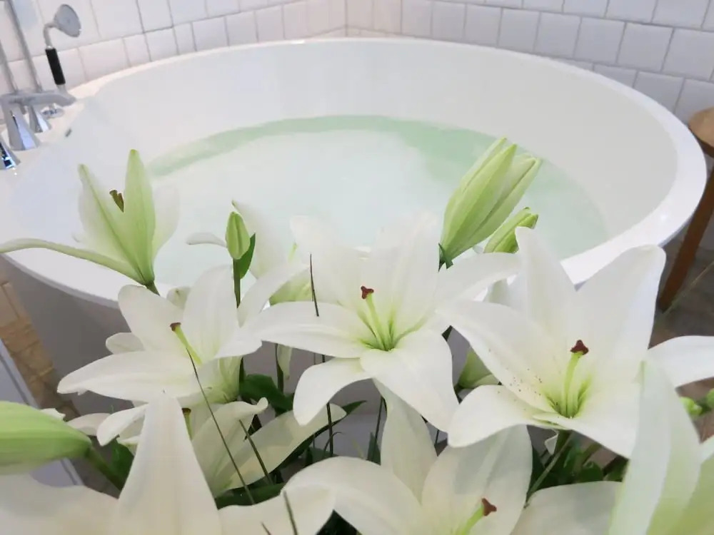 Foto - 1909 Sigtuna Stads Hotell