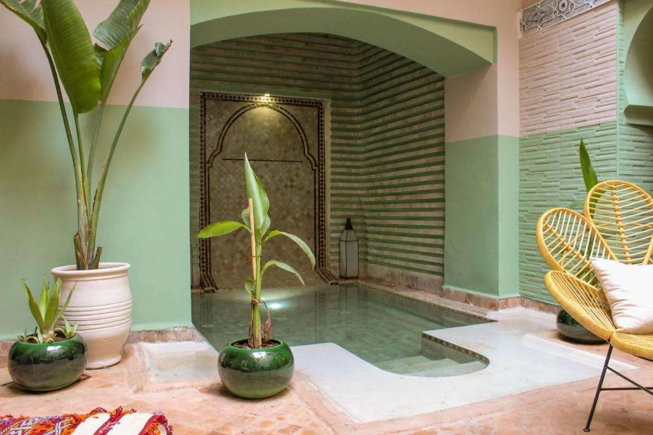 Photo - Riad Amra
