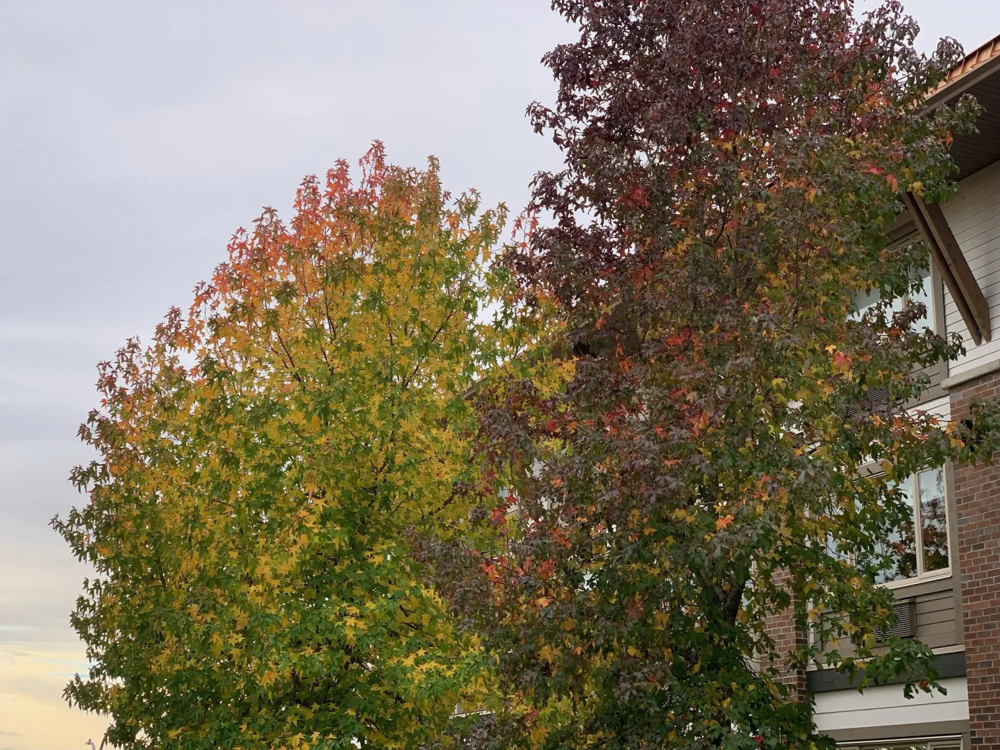 Foto - Holiday Inn Victoria Elk Lake by IHG