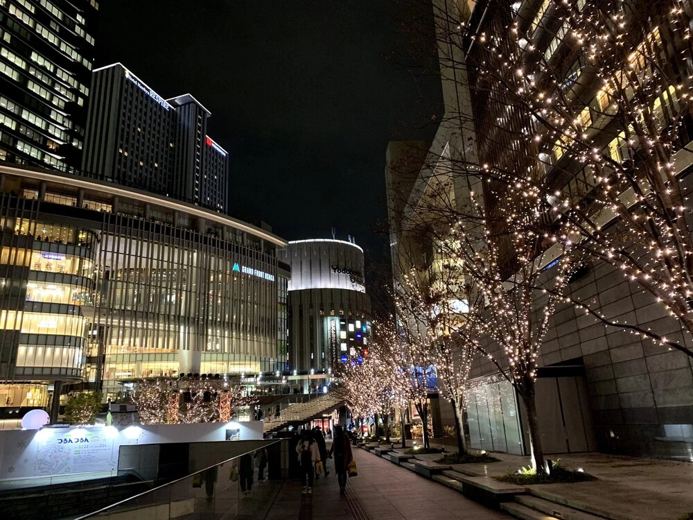 Foto - Minn Umeda North