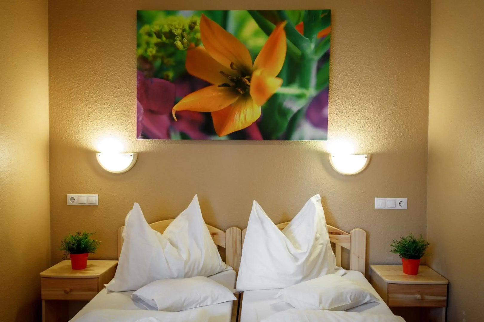 Photo - Hotel Karin