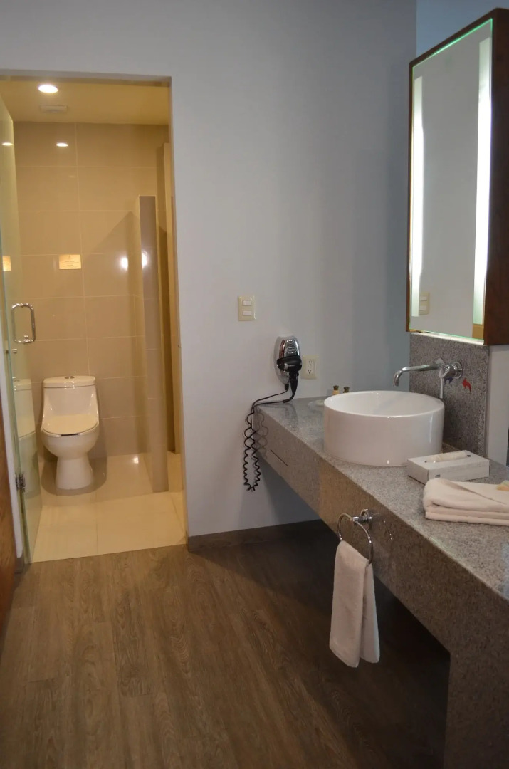 Foto - Plaza Camelinas Hotel