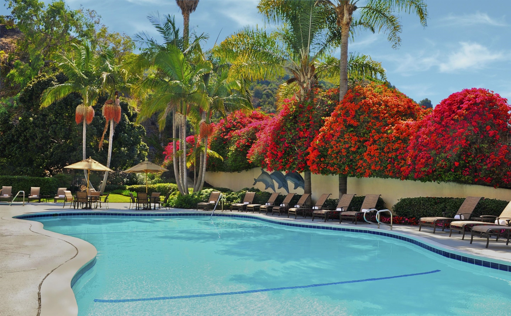 Photo - Sheraton Mission Valley San Diego Hotel