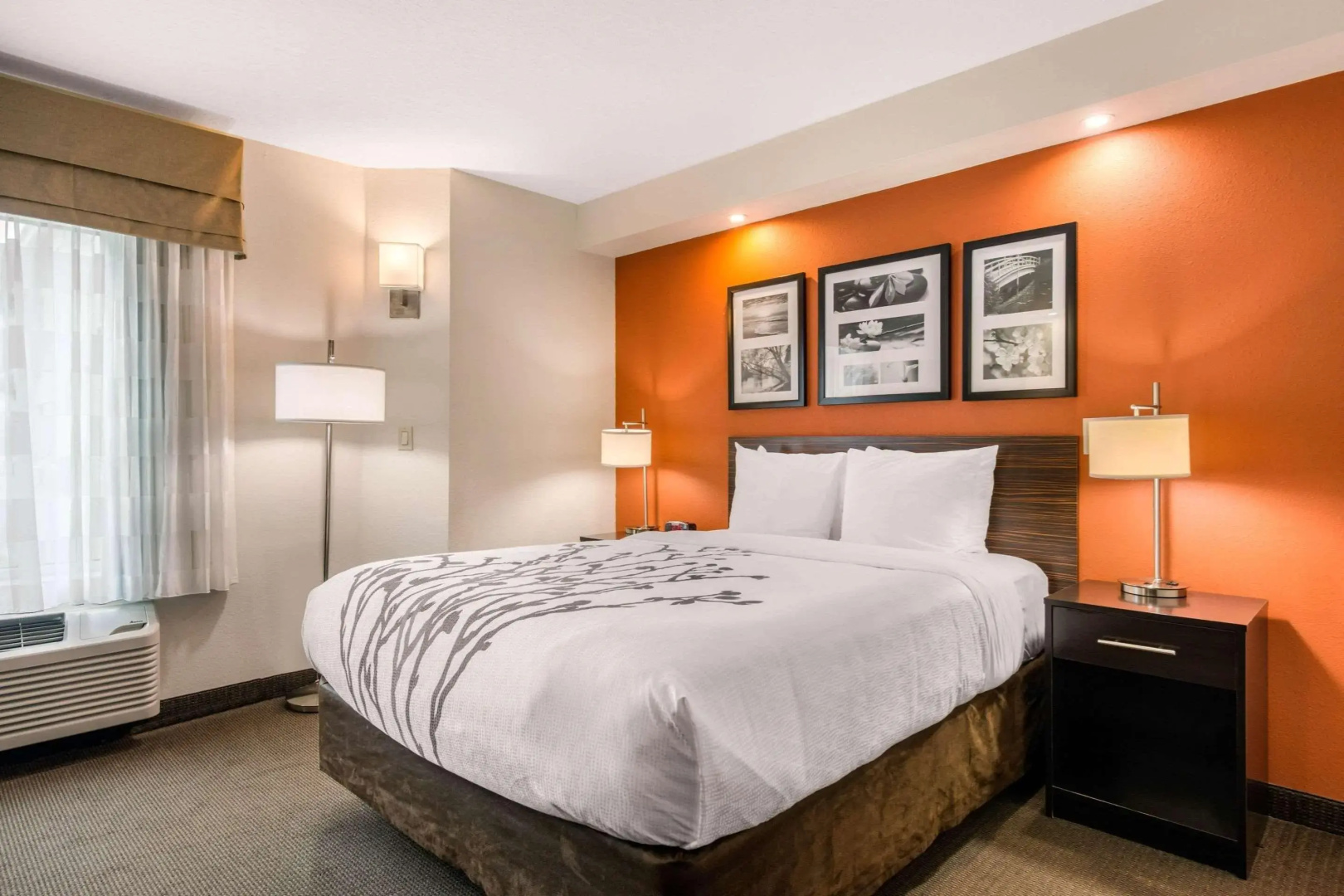 Photo - Sleep Inn Clearwater-St Petersburg