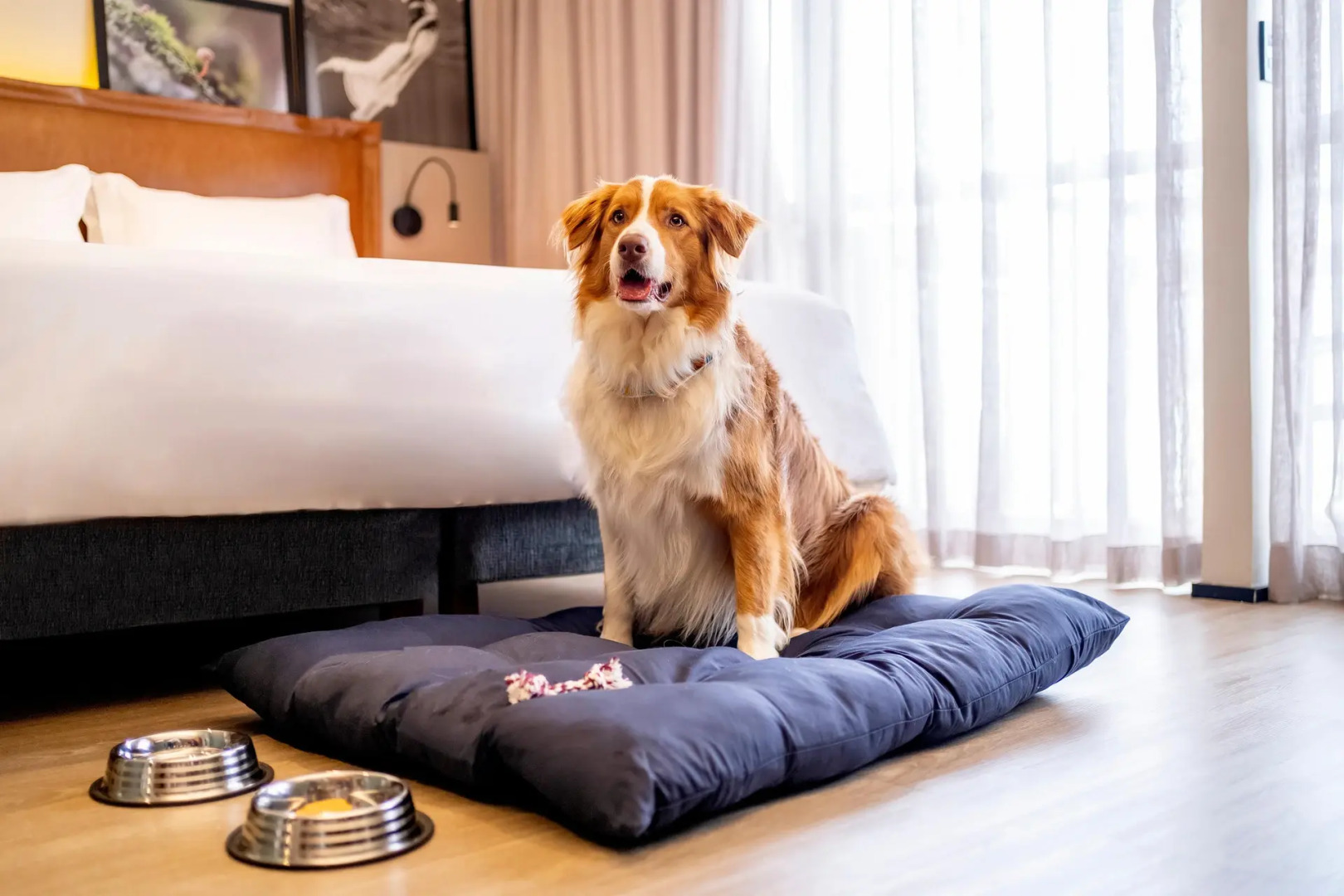 Foto - Grand Mercure SP Itaim Bibi