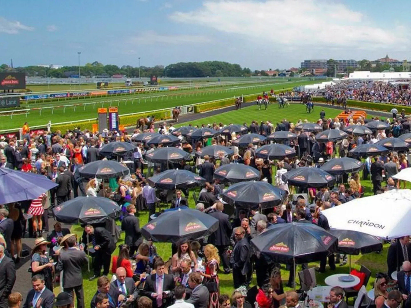 Foto - Royal Hotel Randwick