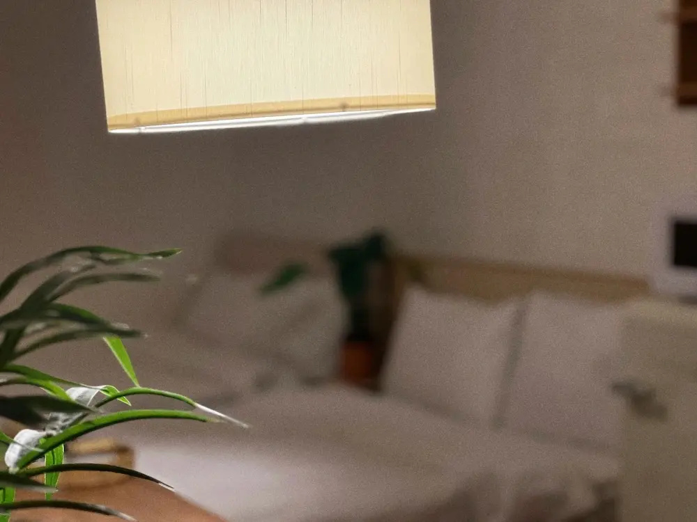 Photo - Jnineguesthouse
