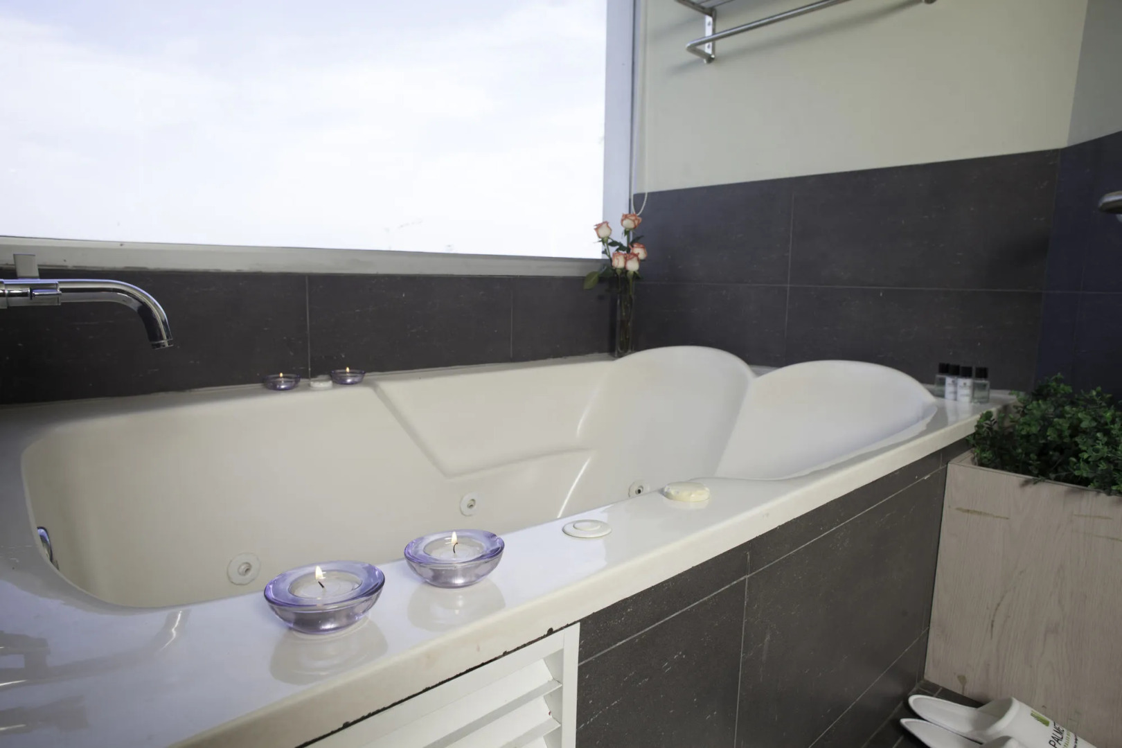 Foto - Palmetto Hotel Business San Miguel