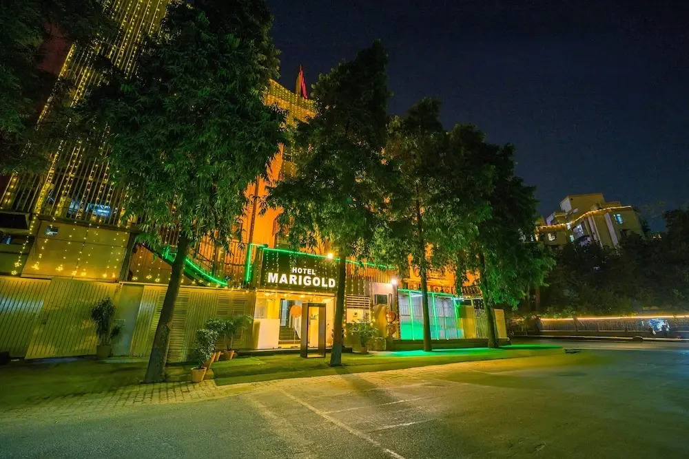 Photo - Treebo Marigold