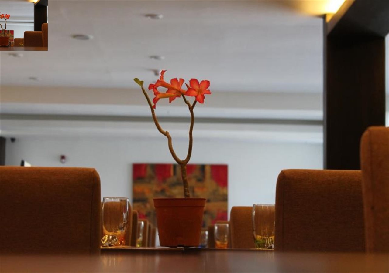Top Star Hotel