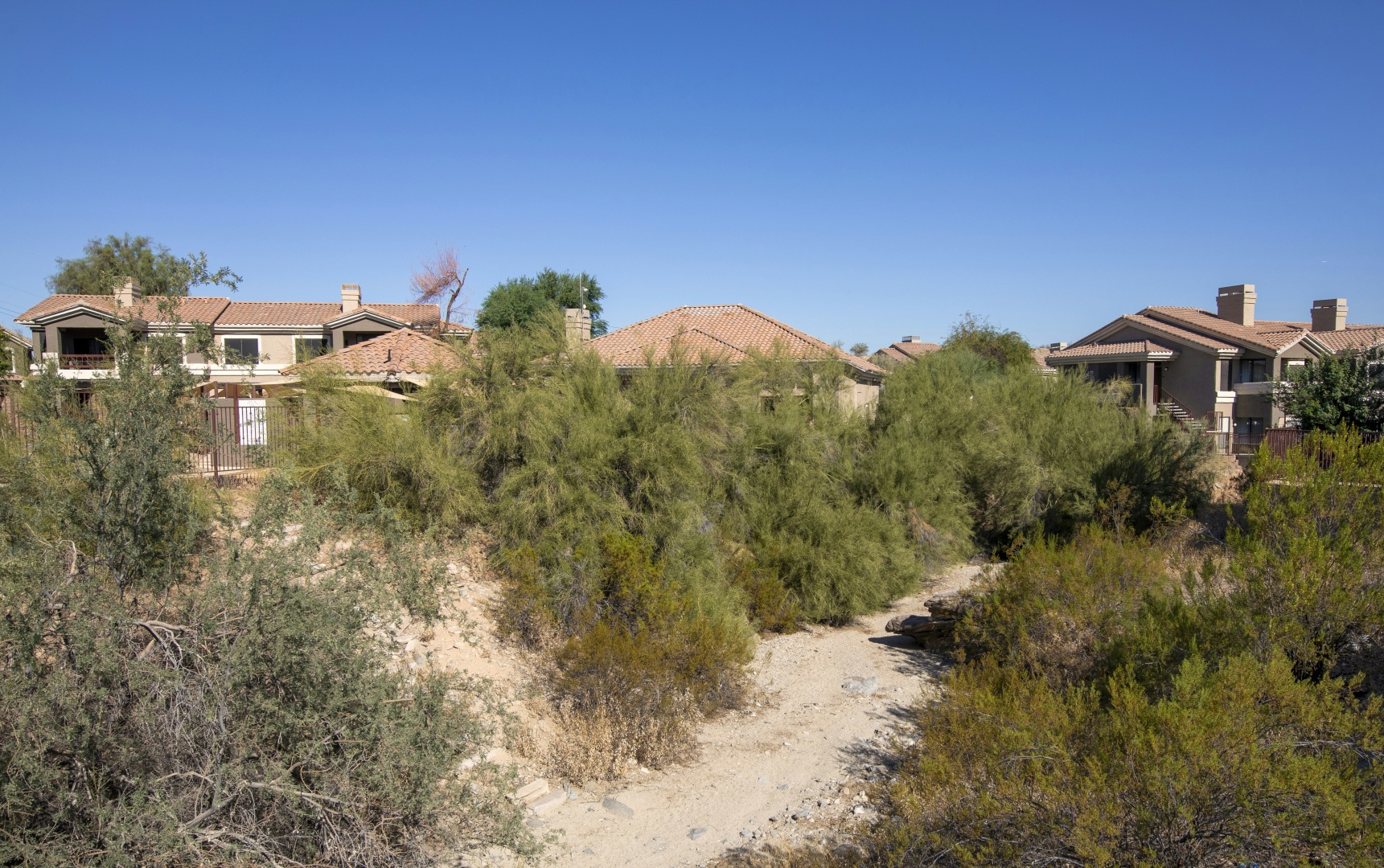 Photo - Raintree at Phoenix South Mountain Preserve