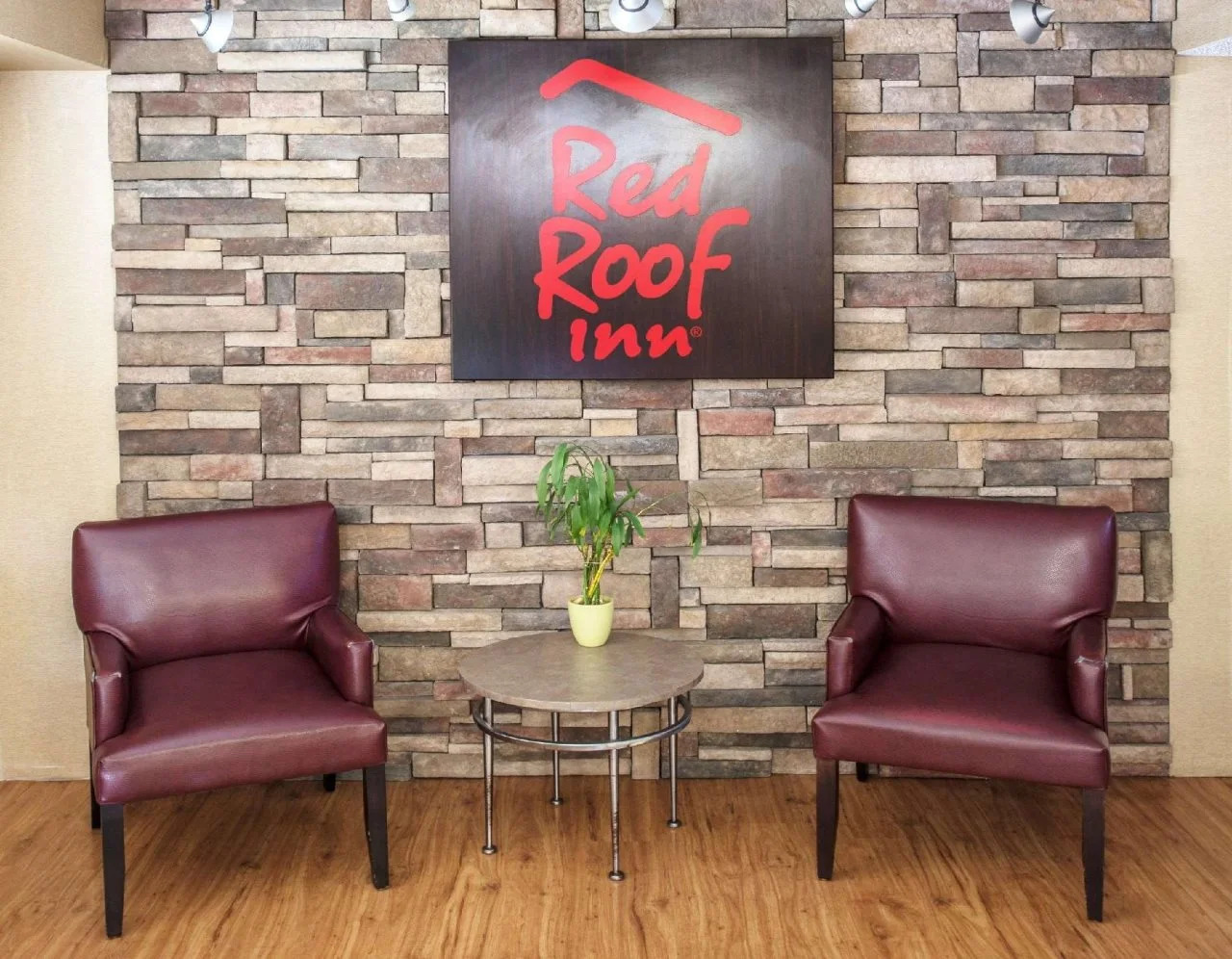 Foto - Red Roof Inn Tampa - Brandon