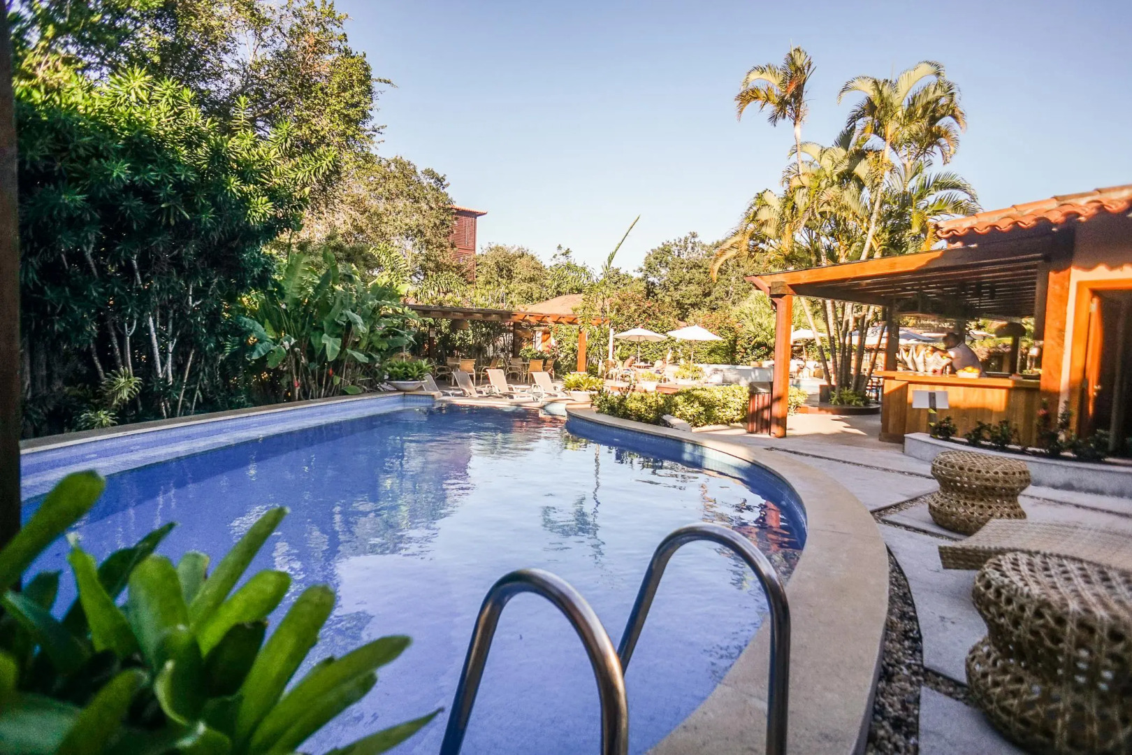 Photo - Corais e Conchas