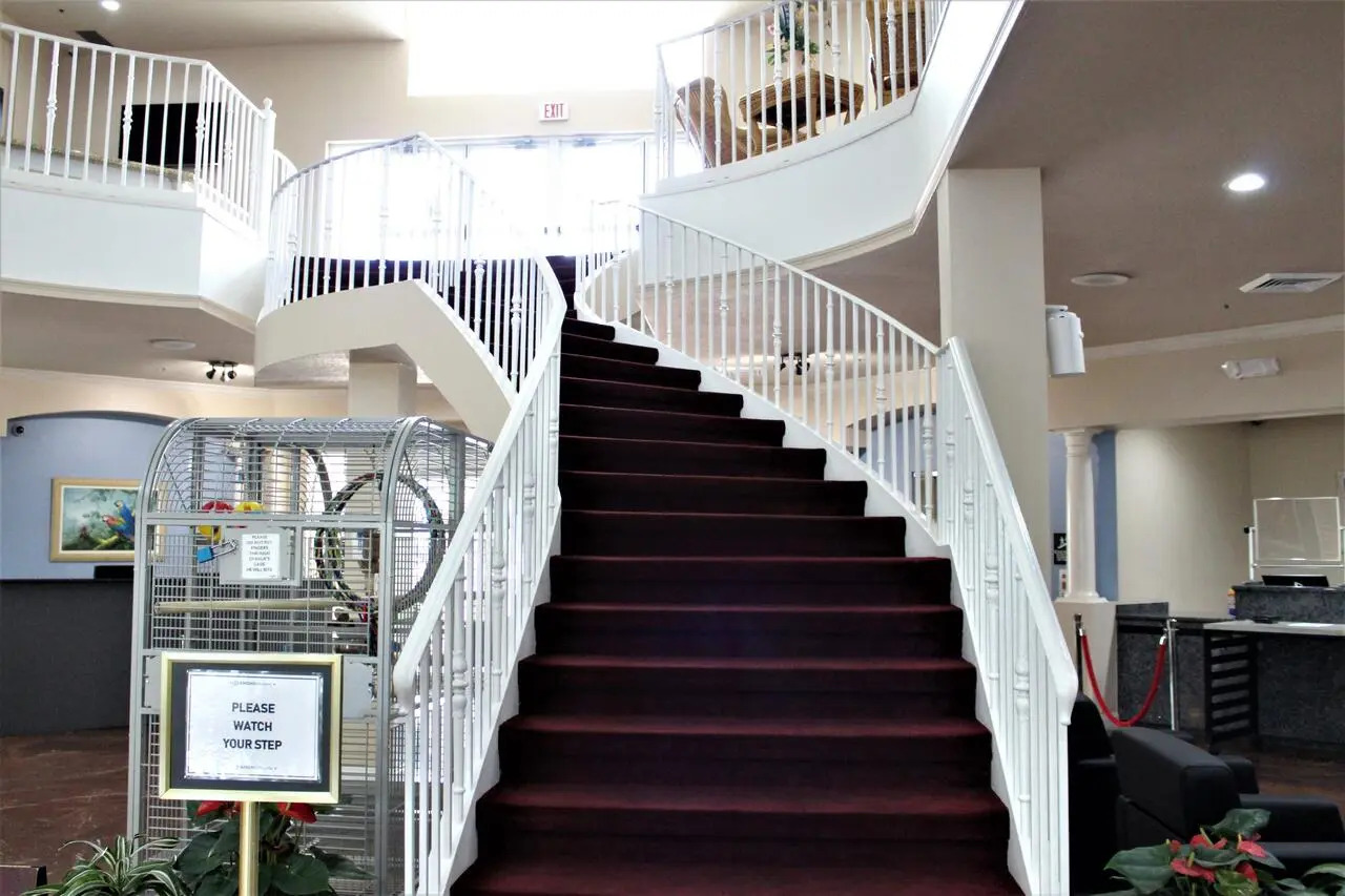 Foto - Hilton Vacation Club Cypress Pointe Orlando