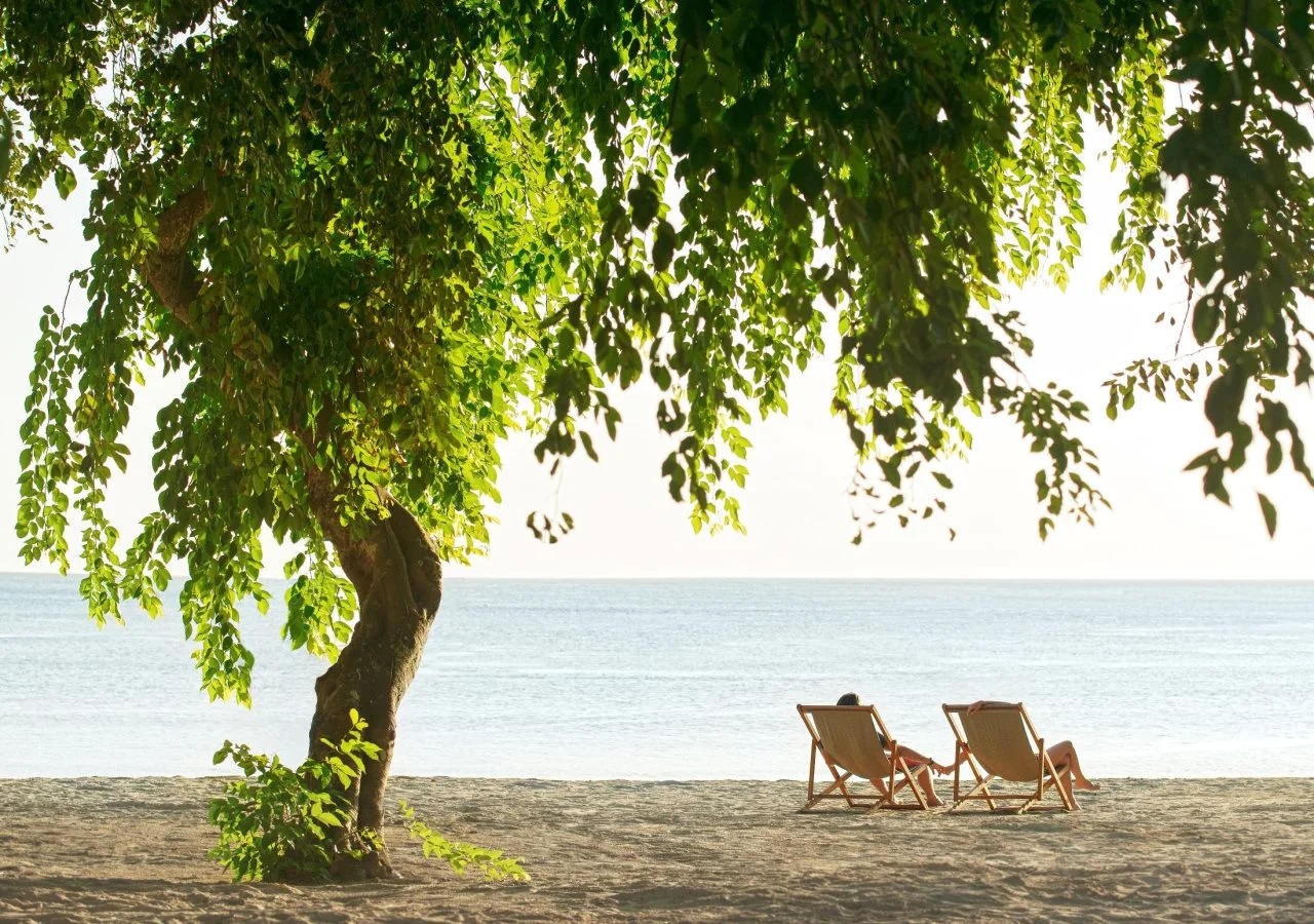 Foto - The Ravenala Attitude