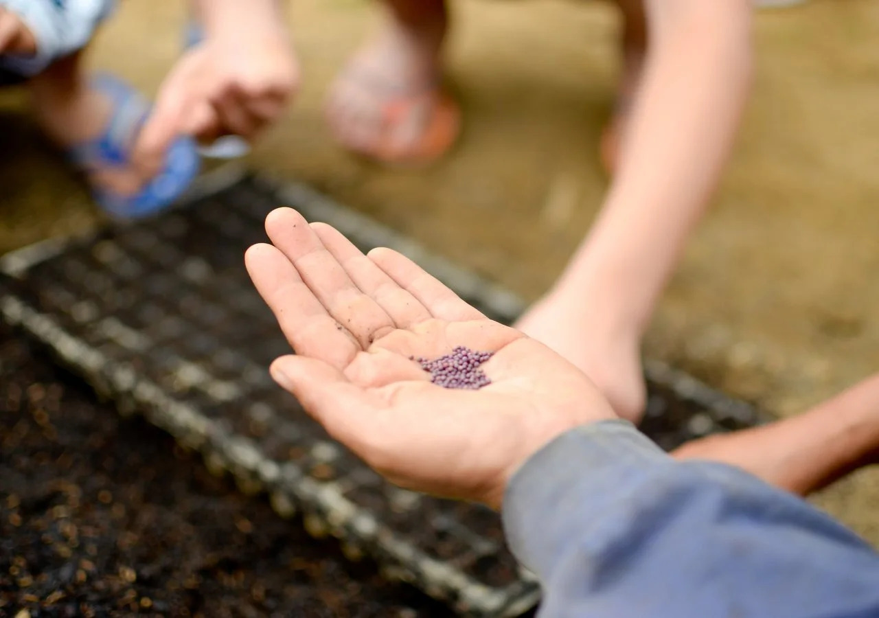 Foto - Bagus Agro Pelaga