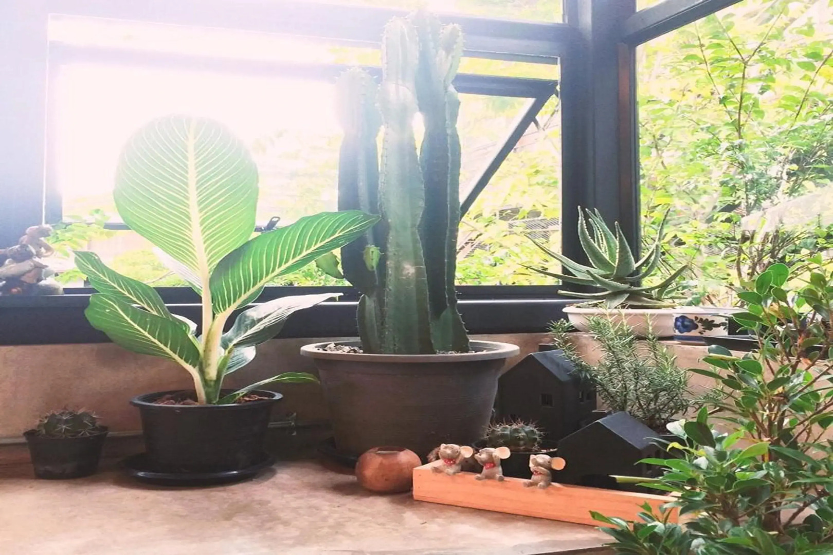 Photo - The Wishes Hotel at Chiangmai