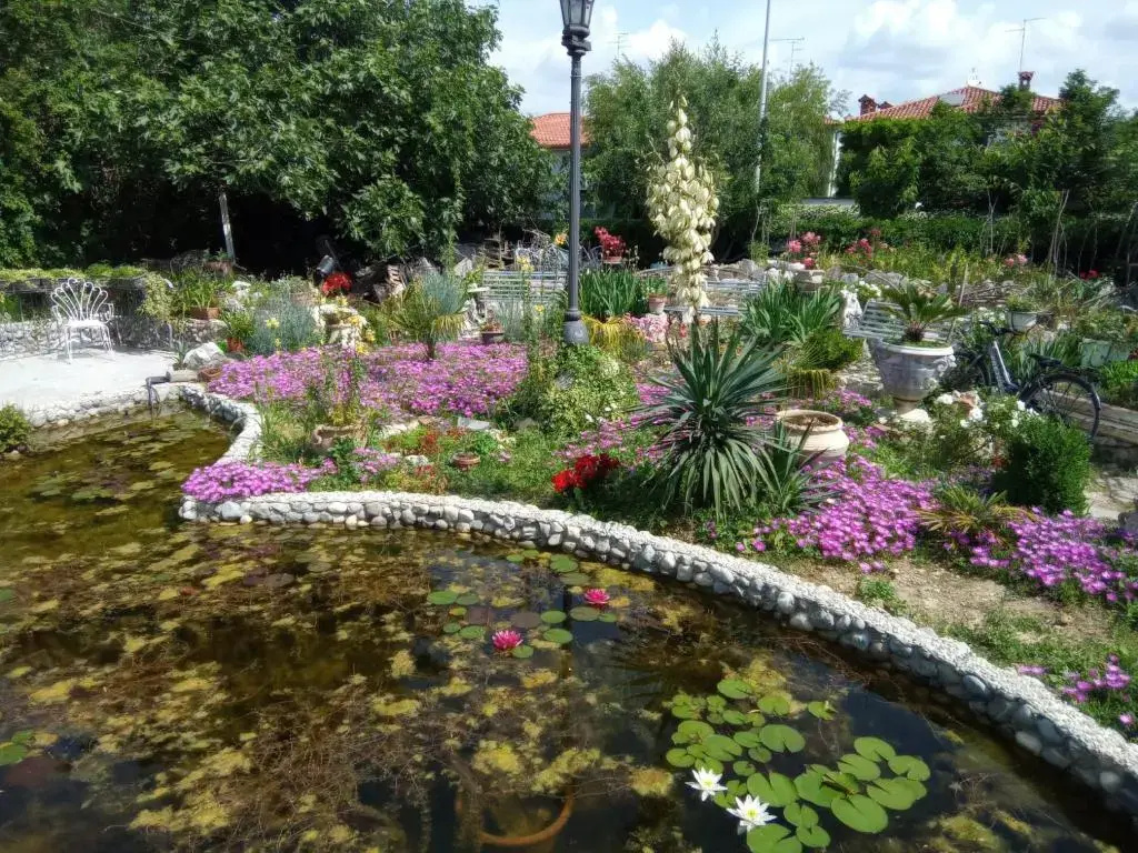 Photo - Villa Fiorita
