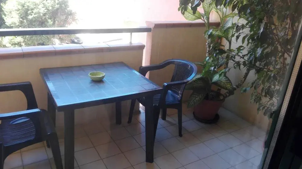 Foto - Agave