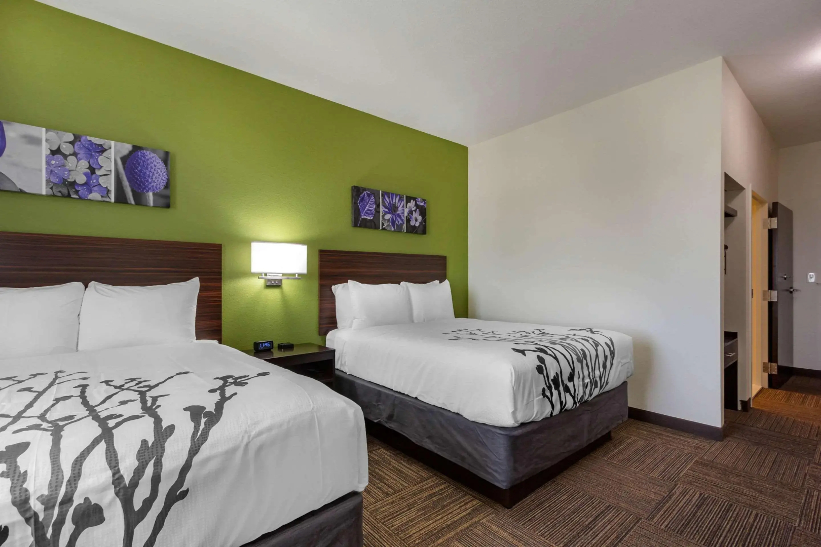 Foto - Sleep Inn & Suites Tampa South