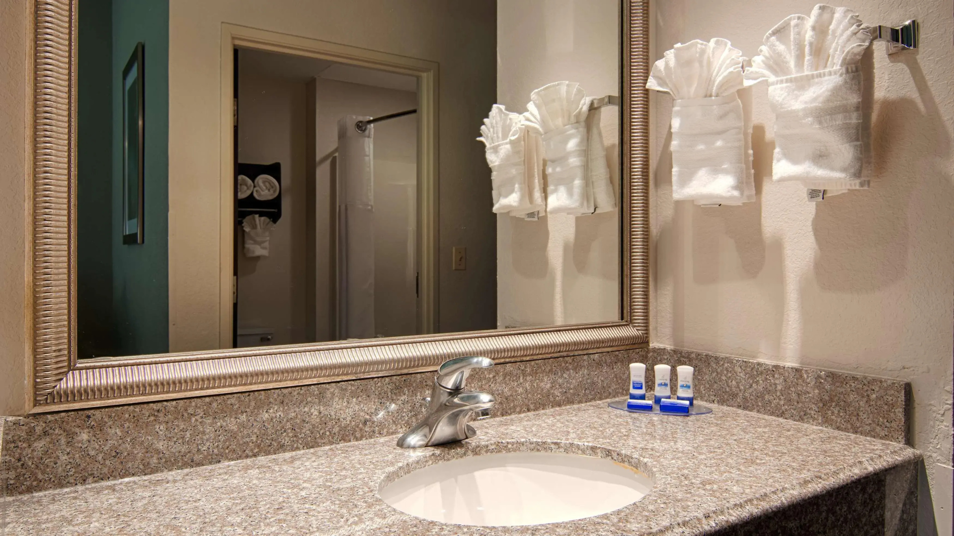 Photo - Best Western Plus O'hare International South Hotel