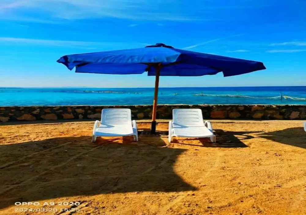 Foto - Davinci Beach Family Hotel