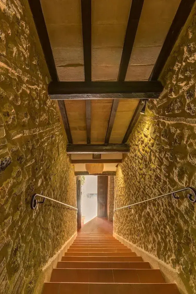 Foto - Agriturismo Casanova di Pescille