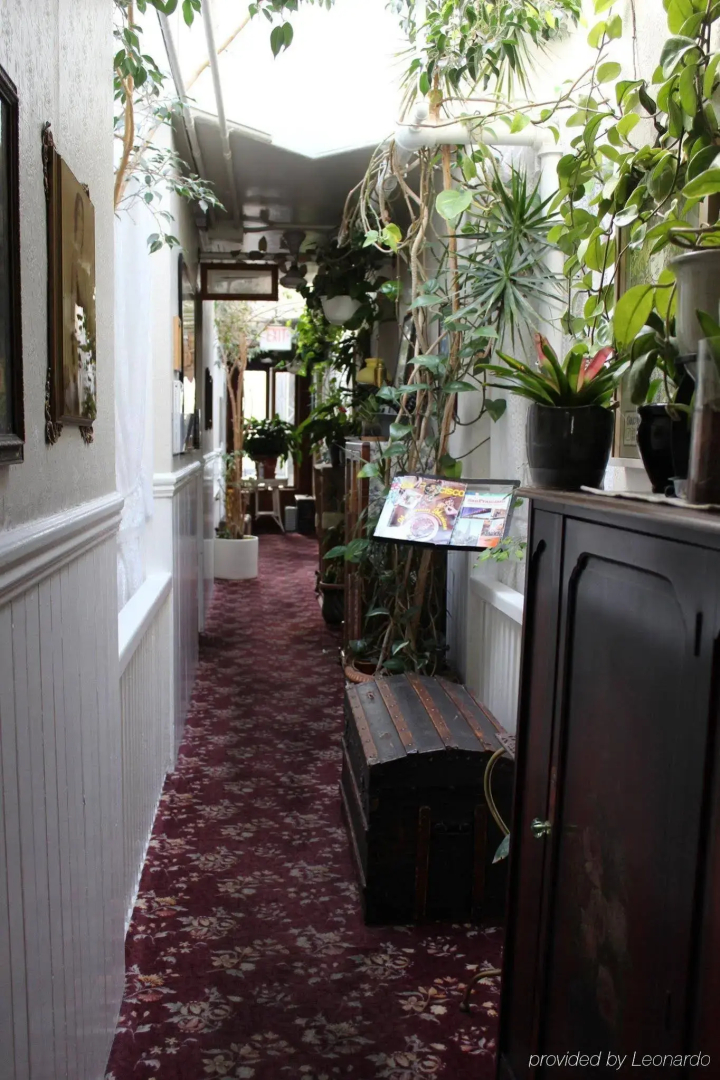 Foto - San Remo Hotel