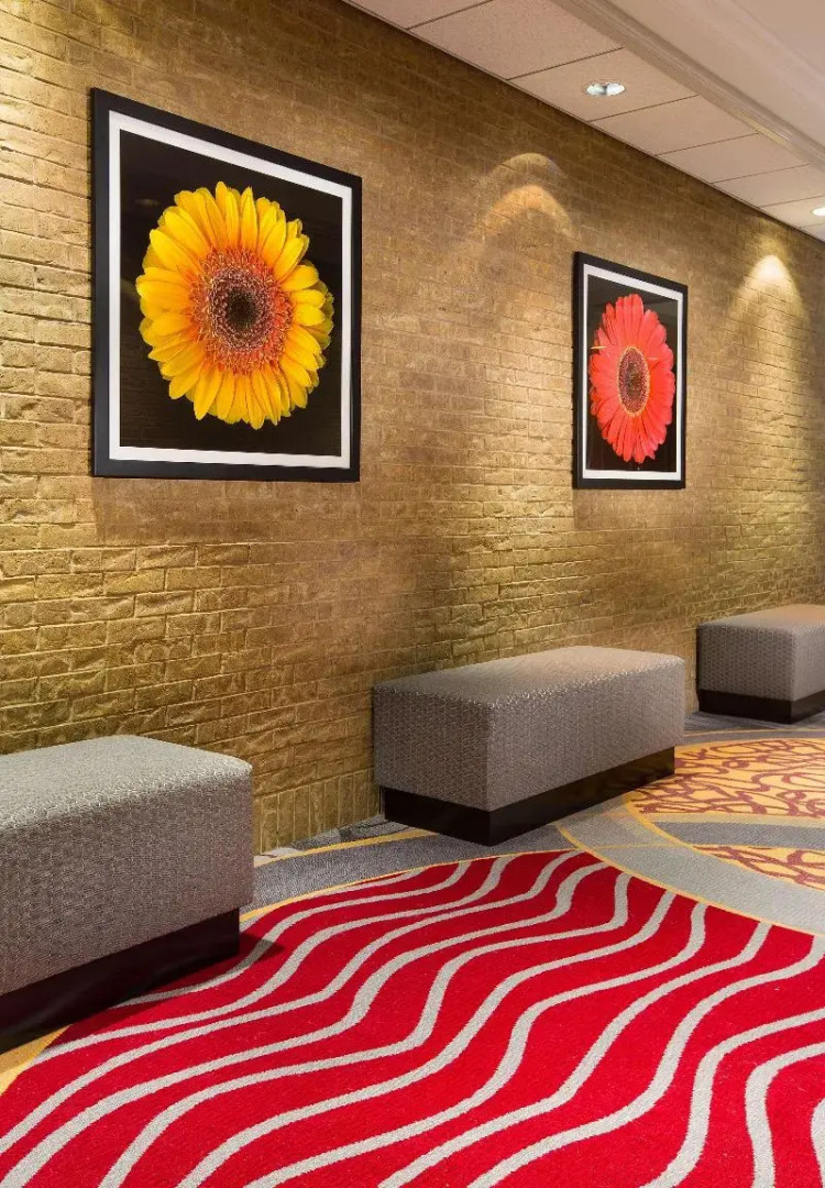 Foto - Hilton Chicago/Northbrook