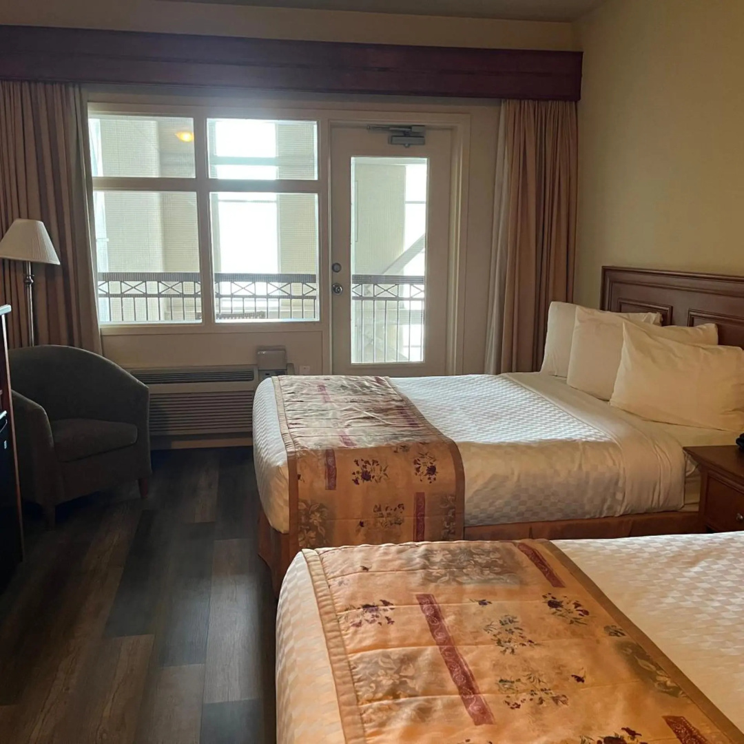 Foto - Hotel L'Oie des neiges