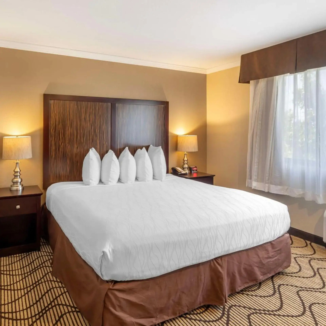 Foto - Best Western Plus Orchid Hotel & Suites