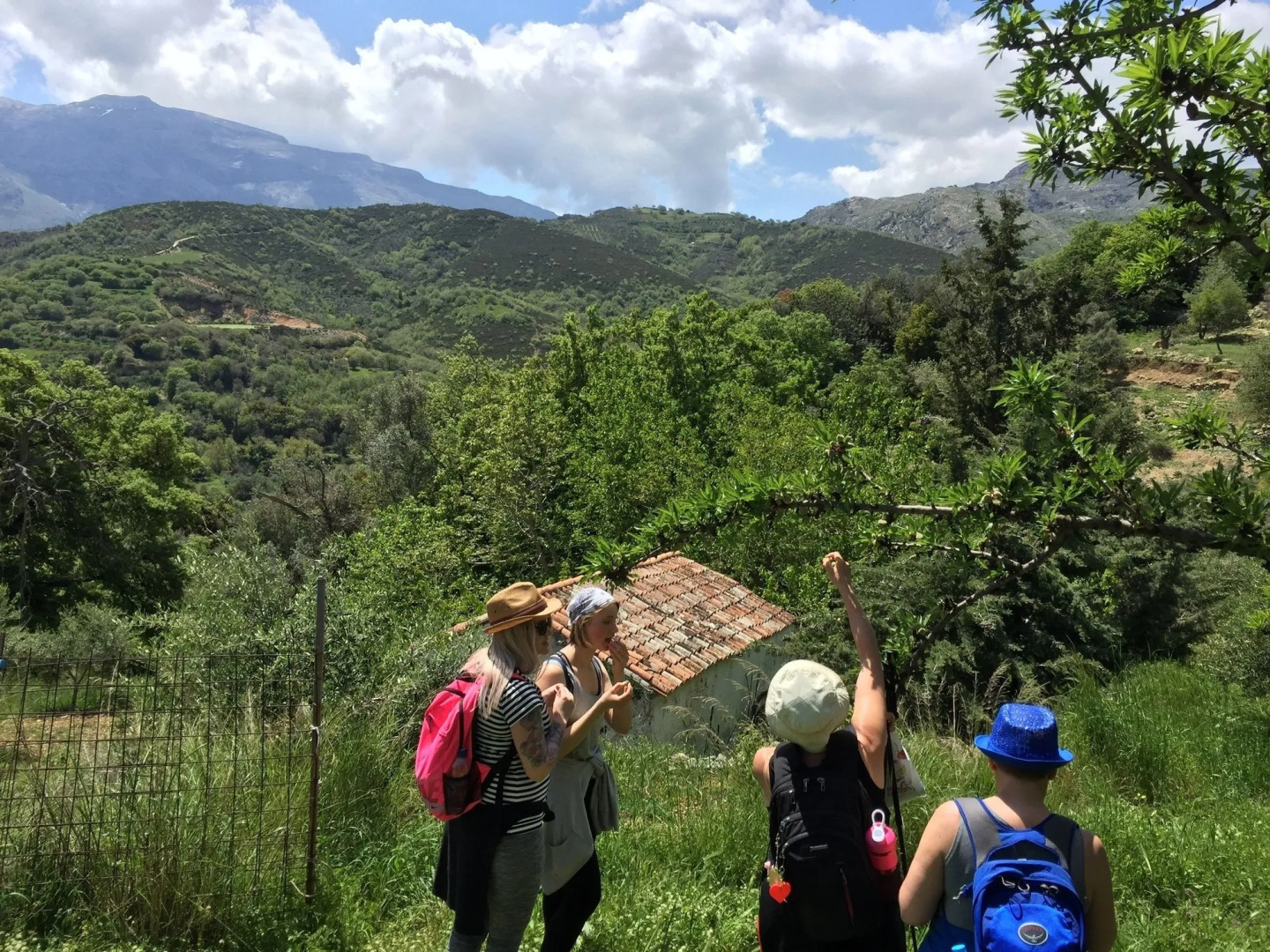 Foto - Aravanes