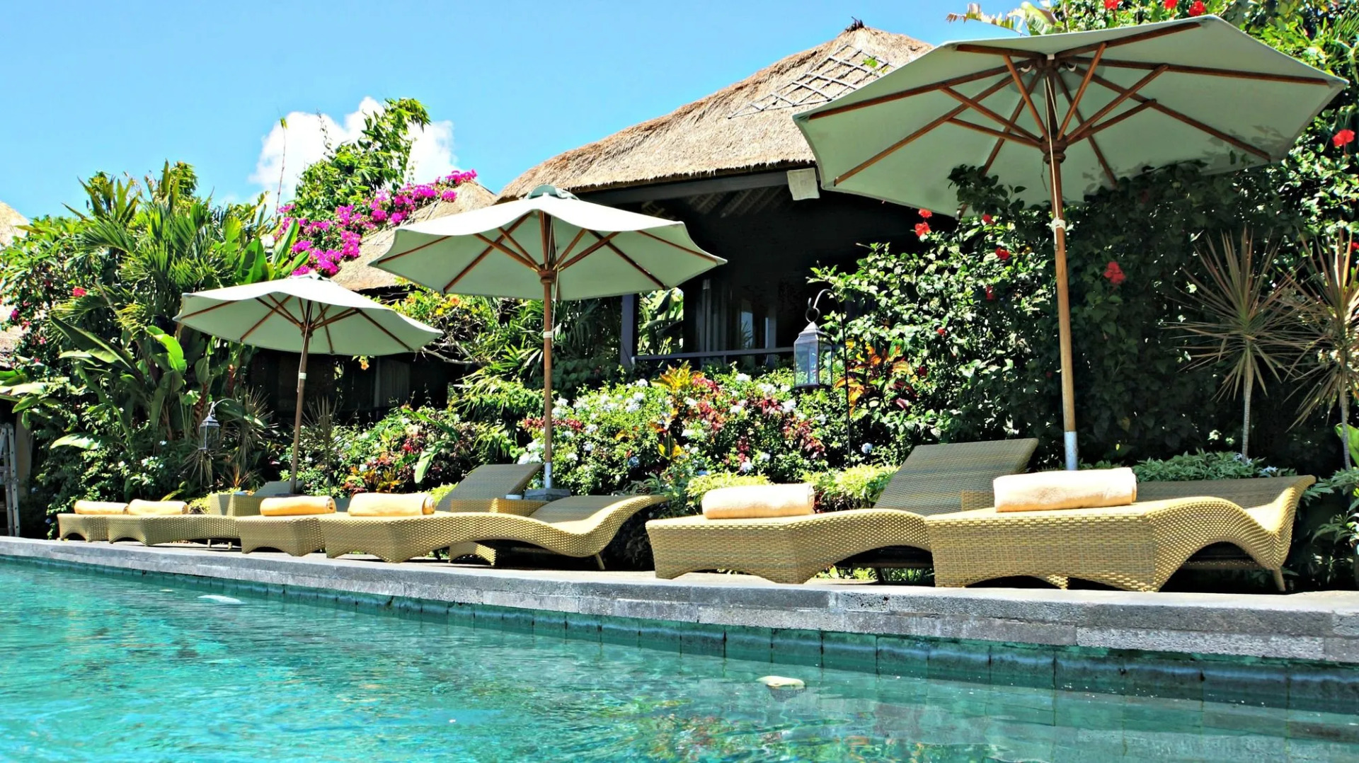 Foto - Samanvaya - Adults Only