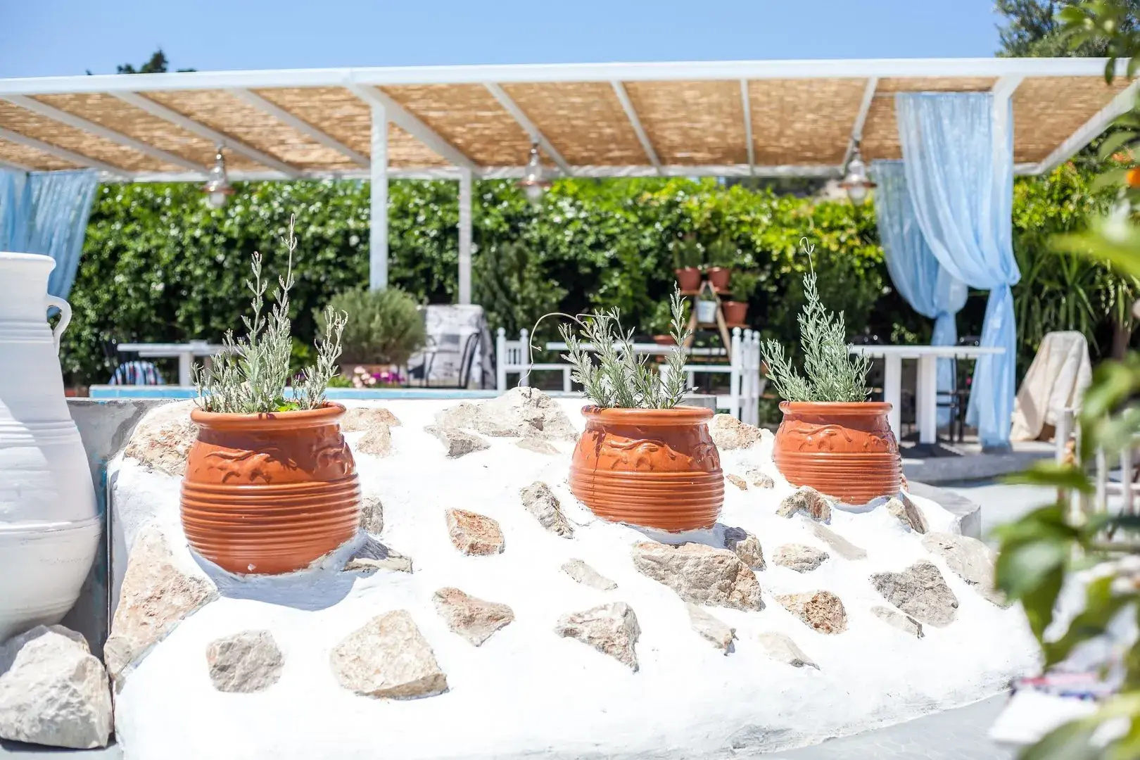 Photo - Tinas Plus Hotel