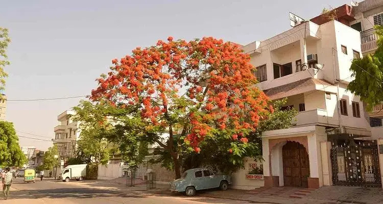 Foto - Sneh Deep Guest House