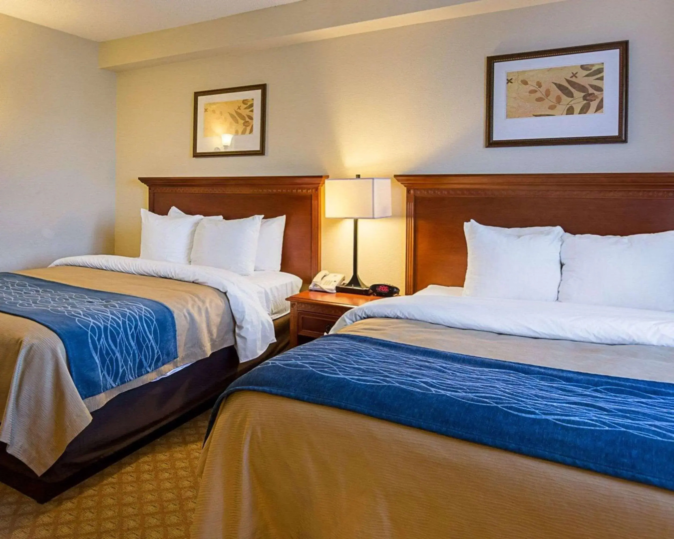 Foto - Comfort Inn & Suites Virginia Beach - Norfolk Airport