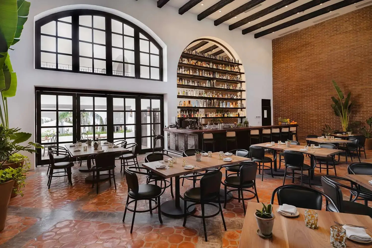 Photo - Tropicana Los Cabos, Tapestry Collection by Hilton