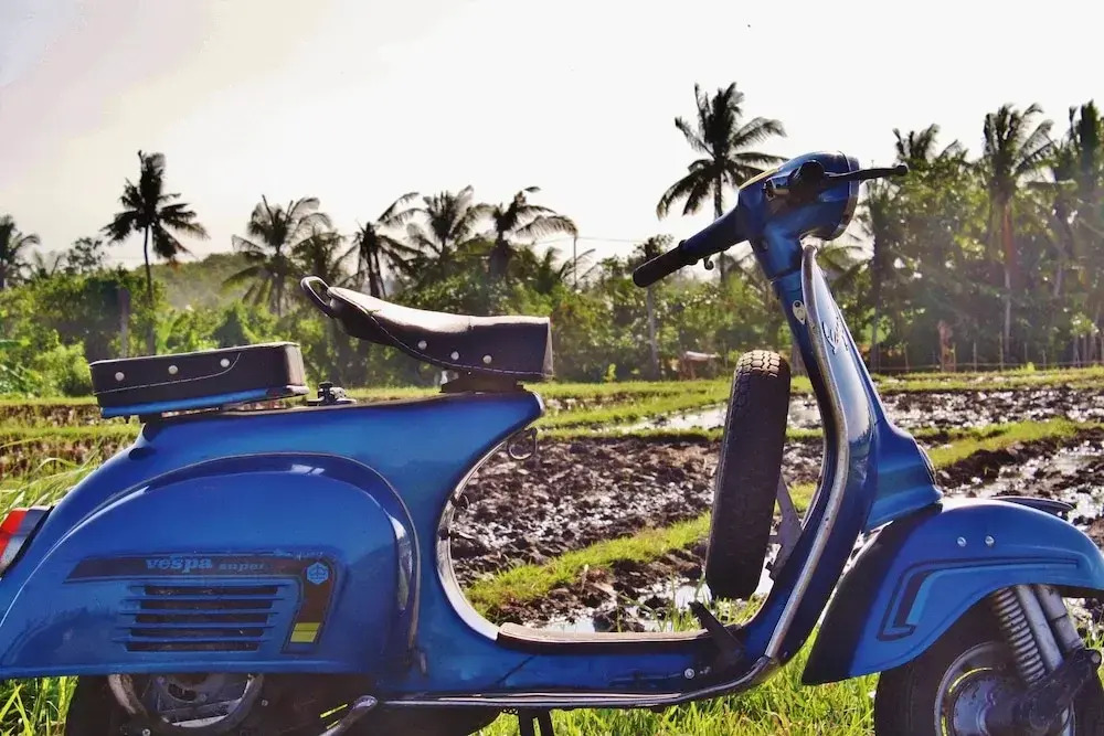 Foto - Echo Beach Villa and Apartment