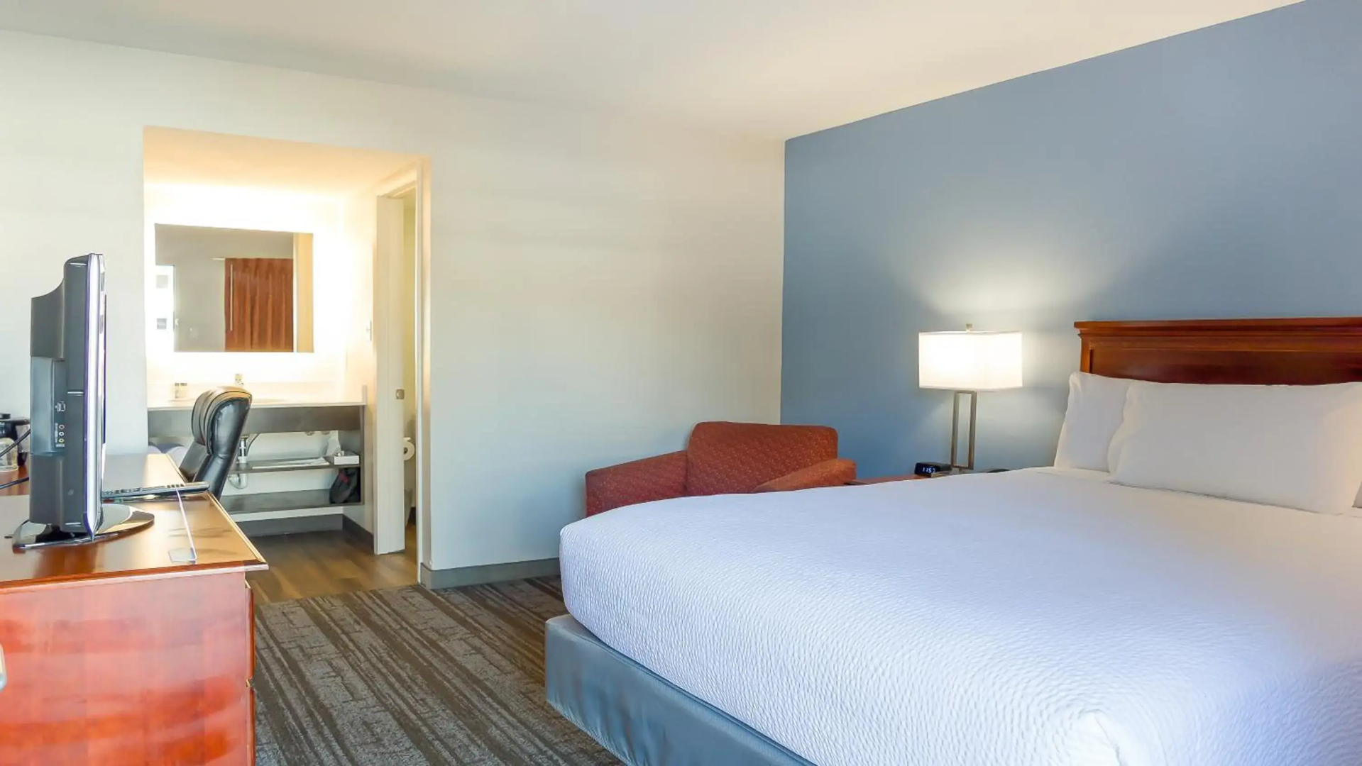 Foto - Hotel South Tampa & Suites